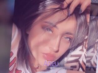 Aneu