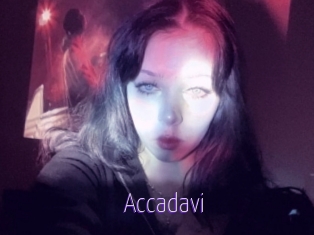 Accadavi
