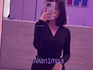 Akan1misa