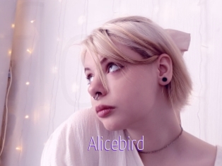 Alicebird
