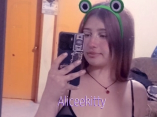 Aliceekitty