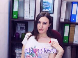 Alluringflower