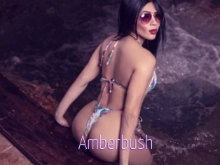 Amberbush