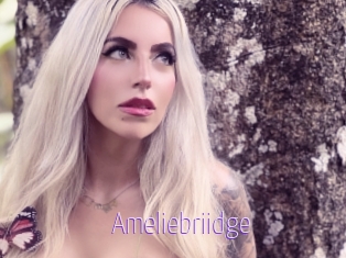 Ameliebriidge