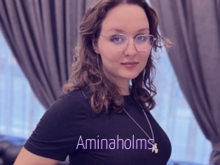 Aminaholms