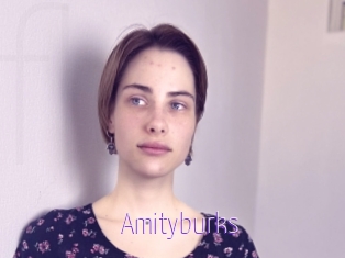Amityburks
