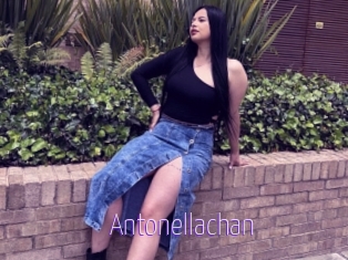 Antonellachan