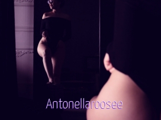 Antonellaroosee