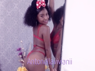 Antonellavivianii
