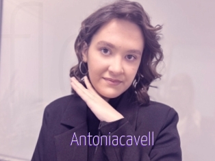 Antoniacavell