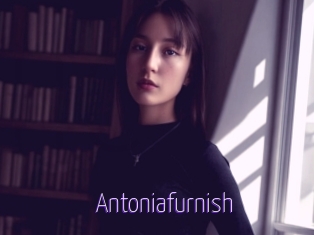 Antoniafurnish