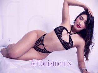 Antoniamorris