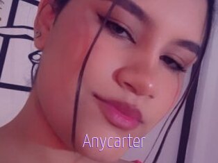 Anycarter