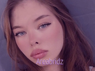 Areabridz