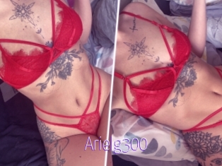 Arielg300