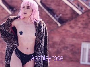 Asshleyrose