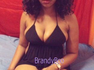 BrandyBoo