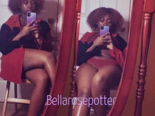 Bellarosepotter