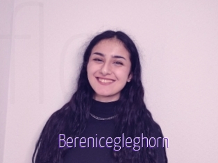 Berenicegleghorn