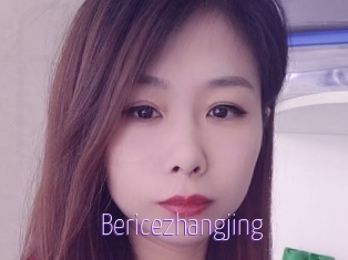 Bericezhangjing