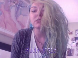 Bluebird0316