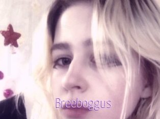 Breeboggus
