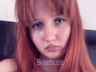 Breebuss