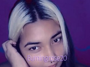 Burningrose20