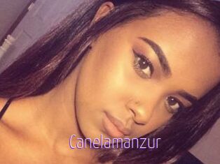 Canelamanzur