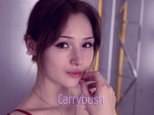 Carrybush