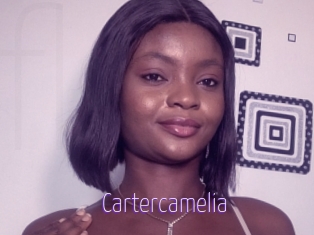 Cartercamelia