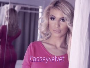 Casseyvelvet