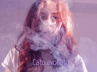 Cato_avocato