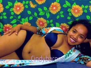 Cindybarnes