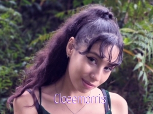 Cloeemorris