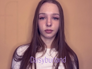 Daisyburland
