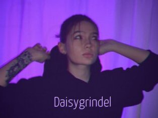 Daisygrindel