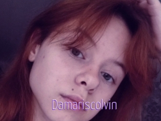 Damariscolvin
