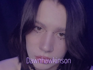 Dawnhawkinson