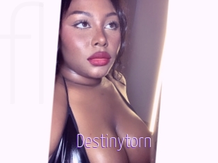 destinytorn Fuck Lolita Cunt