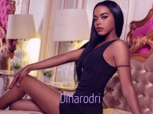 Dinarodri