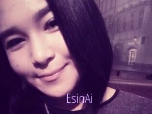 EsinAi