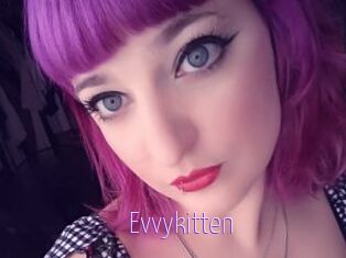 Evvykitten