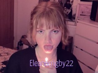 Eleanorrigby22