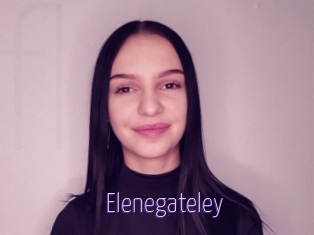 Elenegateley