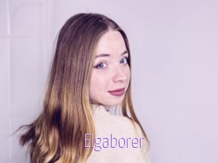 Elgaborer