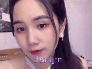 Elisanajam