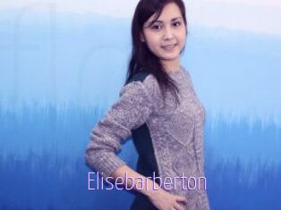 Elisebarberton