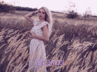 Elizamool