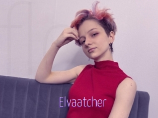 Elvaatcher